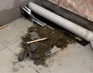 鹰潭市卫生间漏水检测哪家好